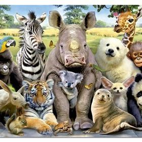 Educa Its A Class Photo 1000 Parça Puzzle