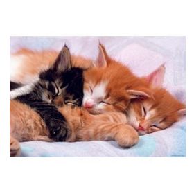 Educa Kediler-Kittens 500 Parça Puzzle