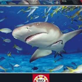Educa Köpekbalığı 500 Parçalık Puzzle