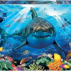Educa Köpekbalığı 500 Parçalık Puzzle