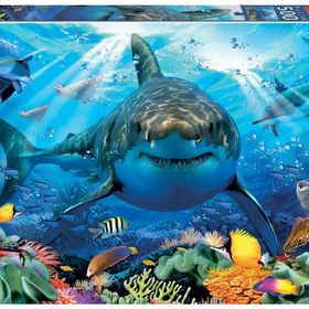 Educa Köpekbalığı 500 Parçalık Puzzle