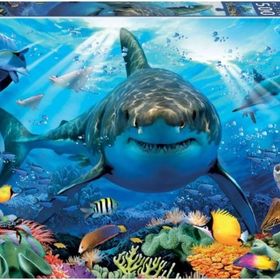 Educa Köpekbalığı 500 Parçalık Puzzle
