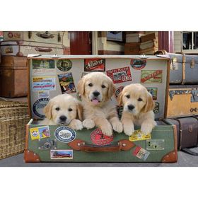Educa Puppies 500 Parça Puzzle