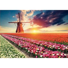 Educa Tulıps Landscape 1500 Parça Puzzle