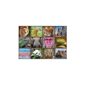 Educa Wild Animals Çocuk Puzzle