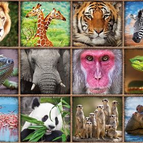 Educa Wild Animals Çocuk Puzzle
