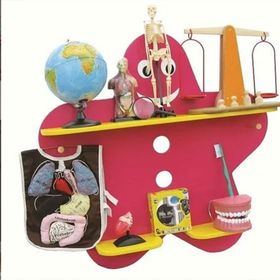 Edutoys Aletler Hariç Fen ve Doğa Köşesi Kitaplığı