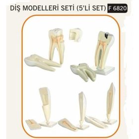 Edutoys Diş Mekan Ahşap Çit