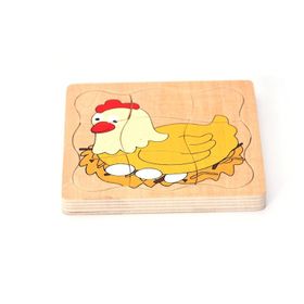 Edutoys Tavuk Gelişim Evreleri Puzzle