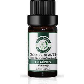 Edy's Organics 10 ml Okaliptus Globulus Uçucu Yağı