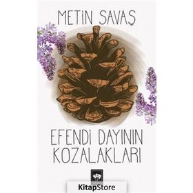 EFENDI DAYININ KOZALAKLARI - METIN SAVAŞ
