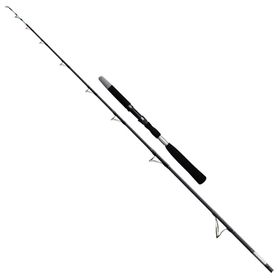Effe Star Jigging 300 gr Olta Kamışı
