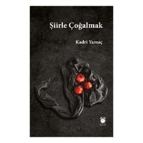 Efil Yayınevi Şiirle Çoğalmak