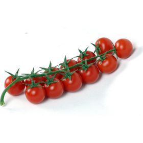 Ege Tarım 120 Adet Çeri Domates Tohumu