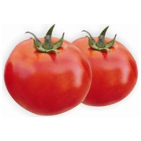 Ege Tarım 5 Adet Domates Tohumu 5'li