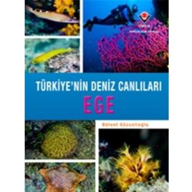 Ege - Türkiye'nin Deniz Canlıları - Tübitak Yayınları