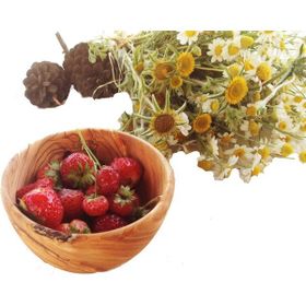 Egedeneve Zeytin Ağacı 12cm Düz Kase