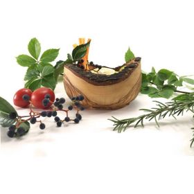 Egedeneve Zeytin Ağacı 15 cm Kütüklü Kase