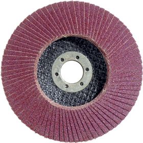 Egesan 115 mm 40 Kum Flap Disk