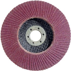 Egesan 115 mm 60 Kum Flap Disk