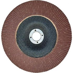 Egesan 180 mm 40 Kum Flap Disk