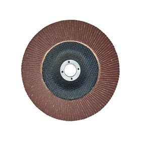 Egesan 180 mm 40 Kum Flap Disk