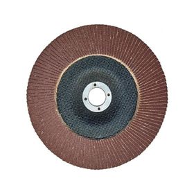Egesan 180 mm 60 Kum Flap Disk