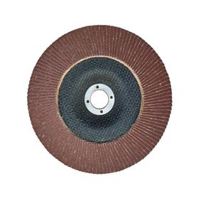 Egesan 180 mm 80 Kum Flap Disk