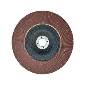 Egesan 180 mm 80 Kum Flap Disk
