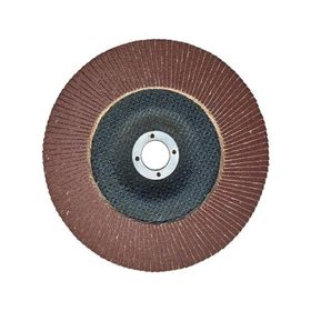 Egesan 180 mm 80 Kum Flap Disk