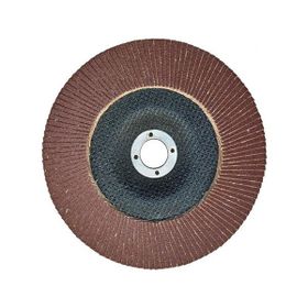 Egesan 180 mm 80 Kum Flap Disk