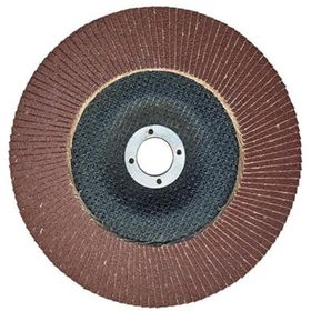 Egesan 180 mm 80 Kum Flap Disk