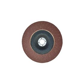 Egesan 180 mm 80 Kum Flap Disk