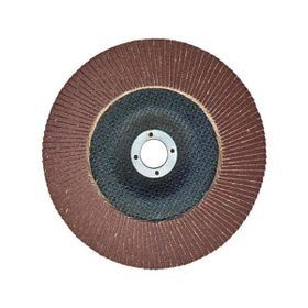 Egesan 180 mm 80 Kum Flap Disk