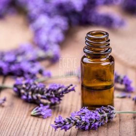 Egeye Dönüş 20 ml Lavanta Yağı