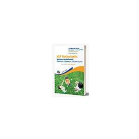 Eğiten Kitap ICF Kolaylaştı: Katılım Hedeflerini; Planlayın Uygulayın Gözden Geçirin