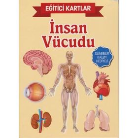Eğitici Kartlar İnsan Vücudu Kolektif Teleskop Yayınları
