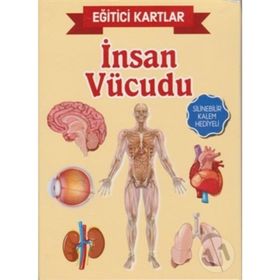 Eğitici Kartlar İnsan Vücudu Kolektif Teleskop Yayınları