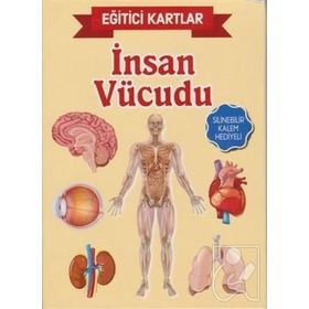 Eğitici Kartlar İnsan Vücudu Kolektif Teleskop Yayınları