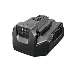 Ego Power CH2100E Standart Şarj Ünitesi