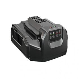 Ego Power CH2100E Standart Şarj Ünitesi