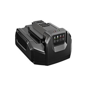 Ego Power CH2100E Standart Şarj Ünitesi