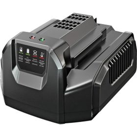Ego Power CH2100E Standart Şarj Ünitesi