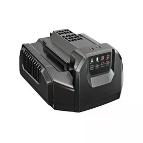 Ego Power CH2100E Standart Şarj Ünitesi