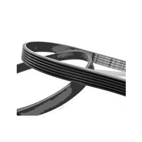 Einhell 1030 Pj406/160j Çim Biçme Bıçak Kayışı