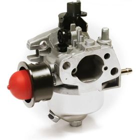 Einhell GC-PM 46/1 S Çim Biçme Makinesi Karbüratörü