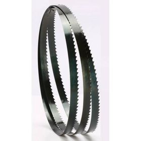 Einhell Th-(tb) Sb 305 U İçin 2320x13 mm Karbon Şerit Testere