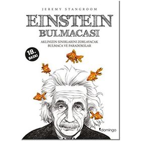 Einstein Bulmacası - Jeremy Stangroom