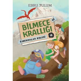 Ejderhalar Kulesi / Bilmece Krallığı - 3 Acayip Kitaplar