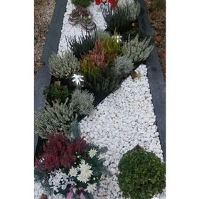 Ekodoğa 25 kg 1,5-2,5 cm Beyaz Dolomit Dekoratif Taş